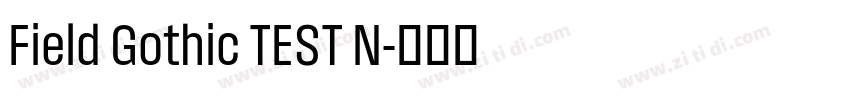 Field Gothic TEST N字体转换